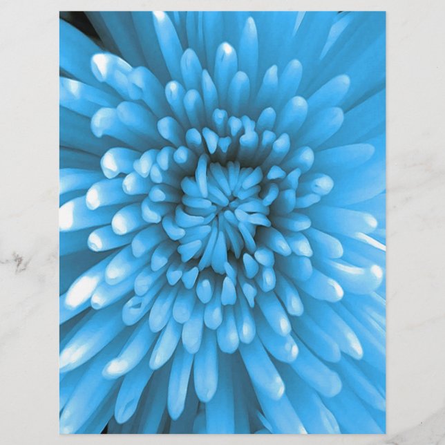 Blue Chrysanthemum (Vorderseite)