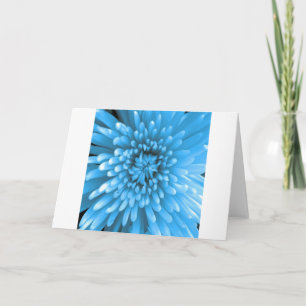 Blue Chrysanthemum Karte