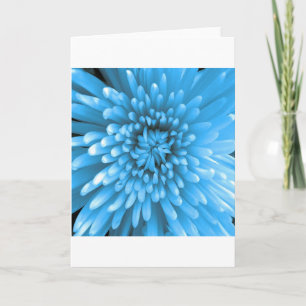 Blue Chrysanthemum Karte