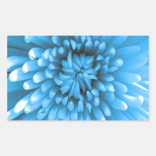 Blue Chrysanthemum Rechteckiger Aufkleber