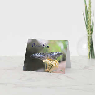 Blue Clipper Butterfly Danke Karte
