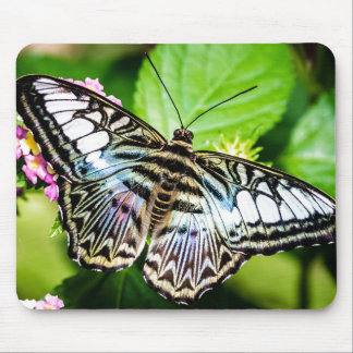 Blue Clipper Butterfly Mousepad