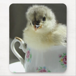 Blue Cochin Chick Mousepad