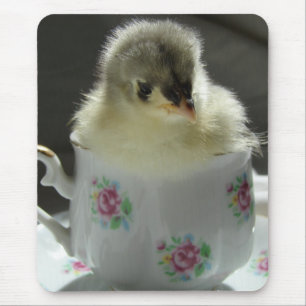 Blue Cochin Chick Teacup Mousepad