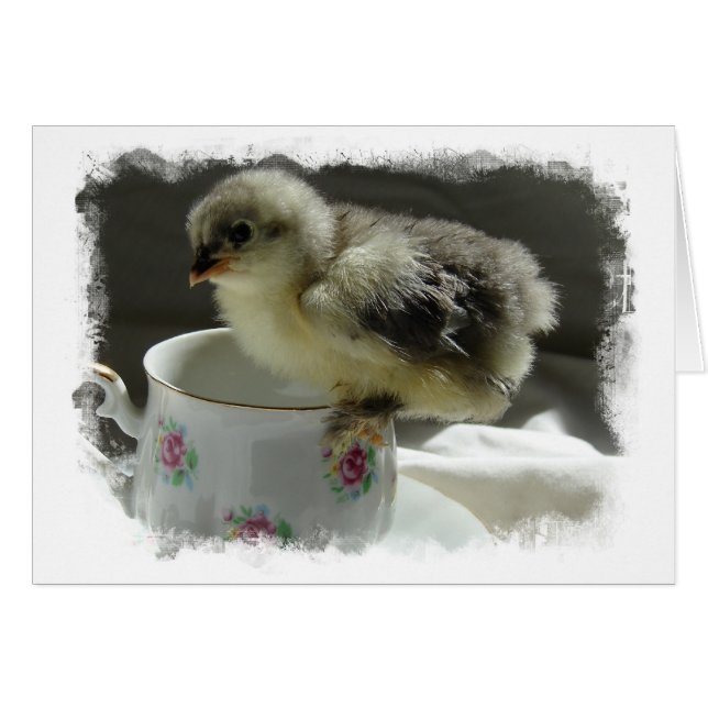 Blue Cochin Cick on Teacup with Border (Vorderseite (Horizontal))