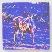 Blue Color Buck Wild Deer Art Untersetzer