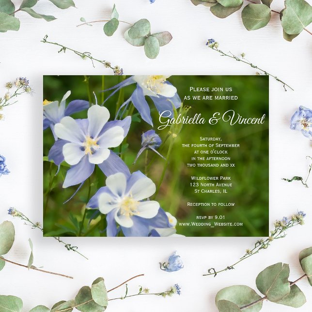 Blue Columbine Blume Hochzeitseinladung Einladung (Von Creator hochgeladen)