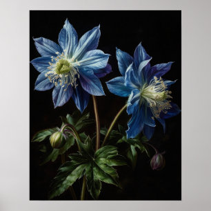 Blue Columbine Blumen Art Print Poster