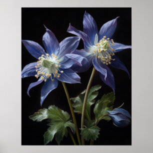 Blue Columbine Blumen Art Print Poster