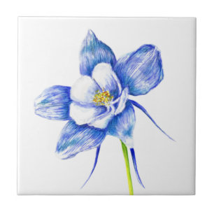Blue Columbine Fliese