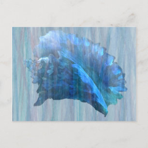 Blue Conch Seashell Art Postkarte