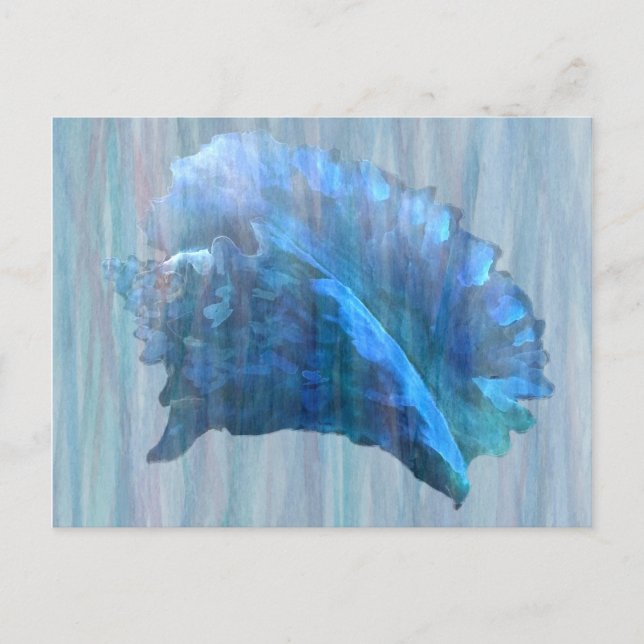 Blue Conch Seashell Art Postkarte (Vorderseite)