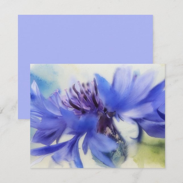 Blue Cornflower Bachelors Button Note Card Set Mitteilungskarte (Vorne/Hinten)
