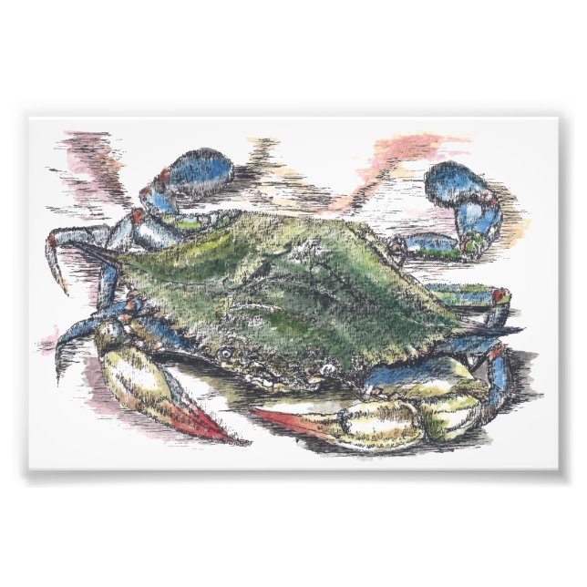 Blue Crab Art Foto Print (Vorne)