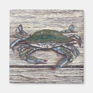 Blue Crab auf Dock Magnet