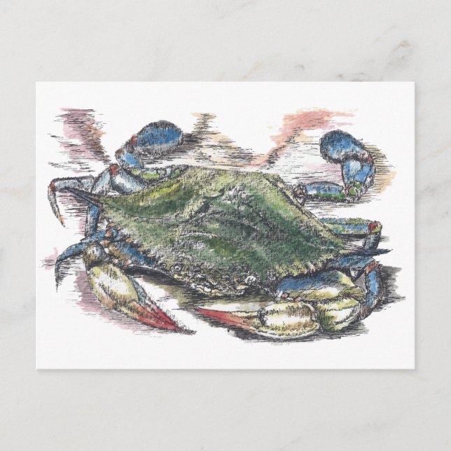 Blue Crab Postcard Postkarte (Vorderseite)