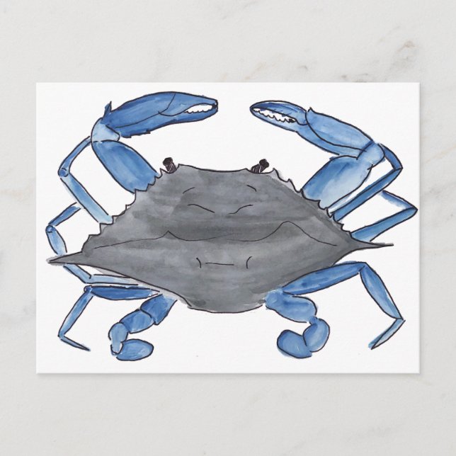 Blue Crab Postcard Postkarte (Vorderseite)