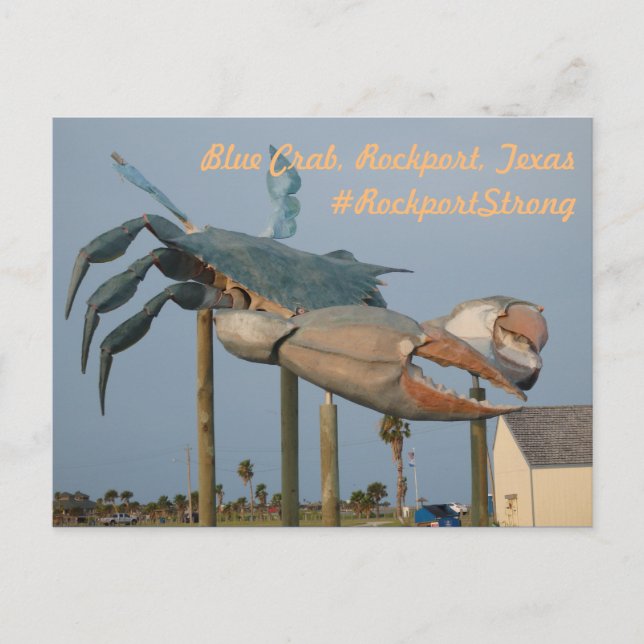 Blue Crab - Rockport, Texas Postkarte (Vorderseite)