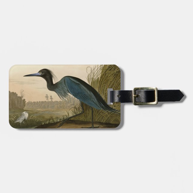 Blue Crane Heron Audubon Malerei Gepäckanhänger (Vorderseite horizontal)