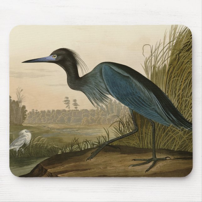 Blue Crane Heron Audubon Malerei Mousepad (Vorne)