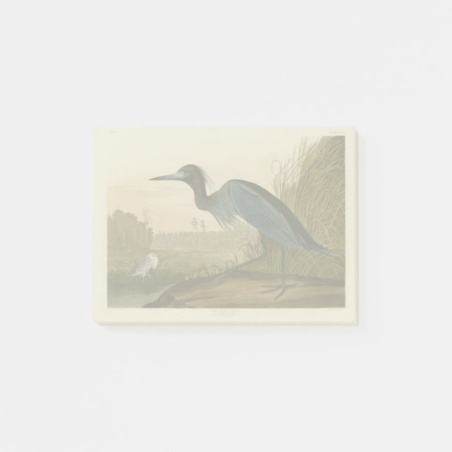 Blue Crane Heron Audubon Malerei Post-it Klebezettel (Vorderseite)