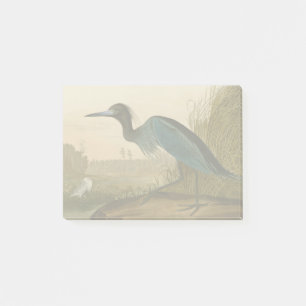 Blue Crane Heron Audubon Malerei Post-it Klebezettel