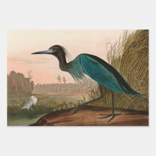 Blue Crane oder Heron Birds of America Audubon Pri Geschenkpapier Set