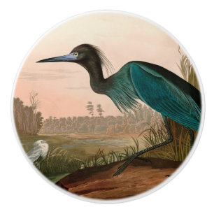 Blue Crane oder Heron Birds of America Audubon Pri Keramikknauf