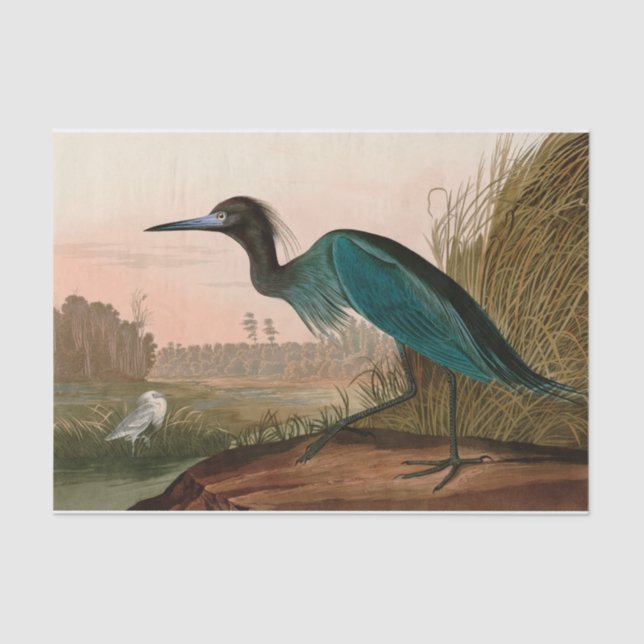 Blue Crane oder Heron Birds of America Audubon Pri Seidenpapier (Vorderseite)