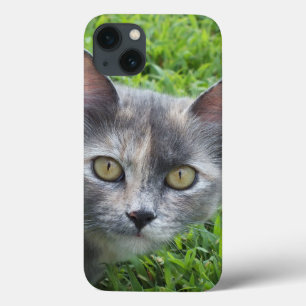 Blue Cream - Tortie Kitty iPad Case