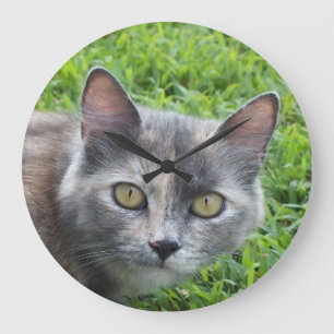 Blue Cream -Tortie Kitty Wall Clock Große Wanduhr