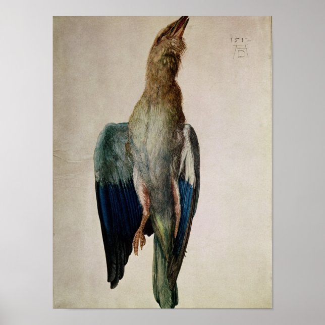 Blue Crow, 1512 Poster (Vorne)
