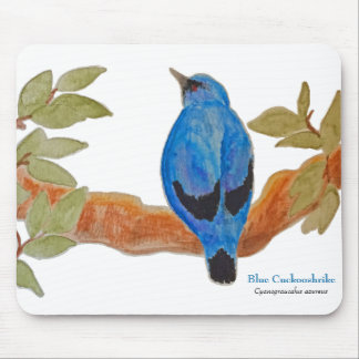 Blue Cuckoshrike Watercolor Bird Mousepad
