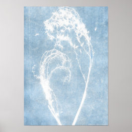 Blue Cyanotype Pflanze Heftposter Poster