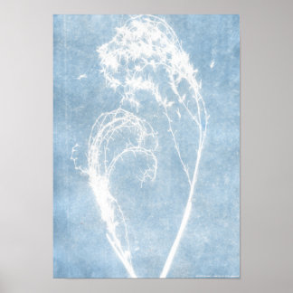 Blue Cyanotype Pflanze Heftposter Poster