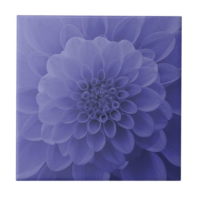 Blue Dahlia Fliese (Vorderseite)