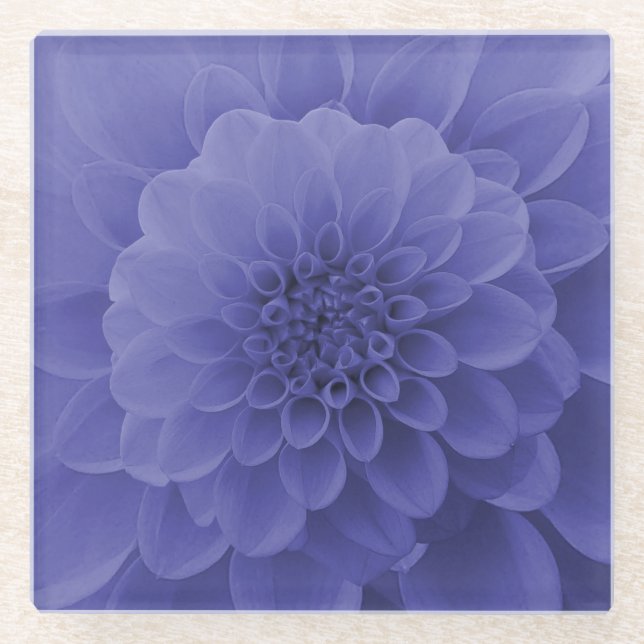 Blue Dahlia Glasuntersetzer (Vorderseite)