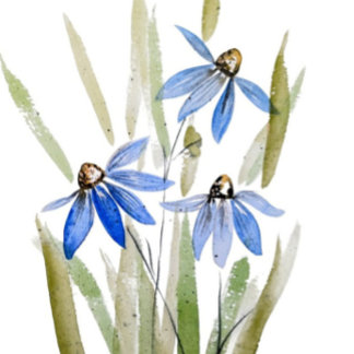 Blue Daisies Sandstone Untersetzer