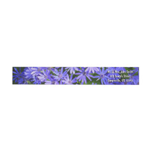 Blue Daisy ähnliche Blume Naturfotografie