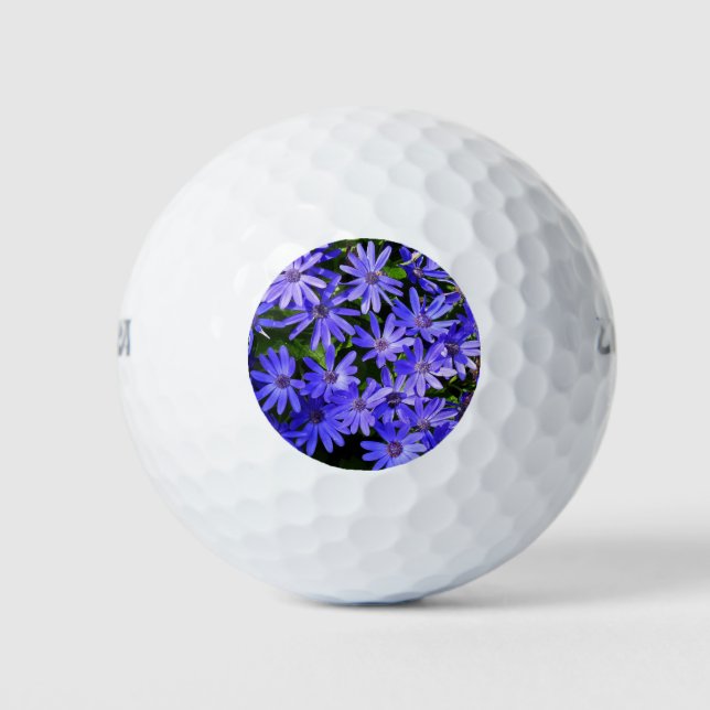Blue Daisy ähnliche Blume Naturfotografie Golfball (Vorderseite)
