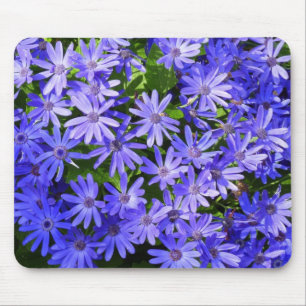 Blue Daisy ähnliche Blume Naturfotografie Mousepad