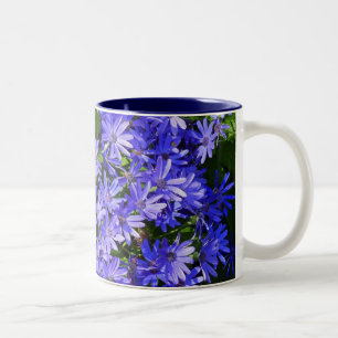 Blue Daisy ähnliche Blume Naturfotografie Zweifarbige Tasse