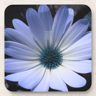 Blue Daisy Blume Cork Untersetzer