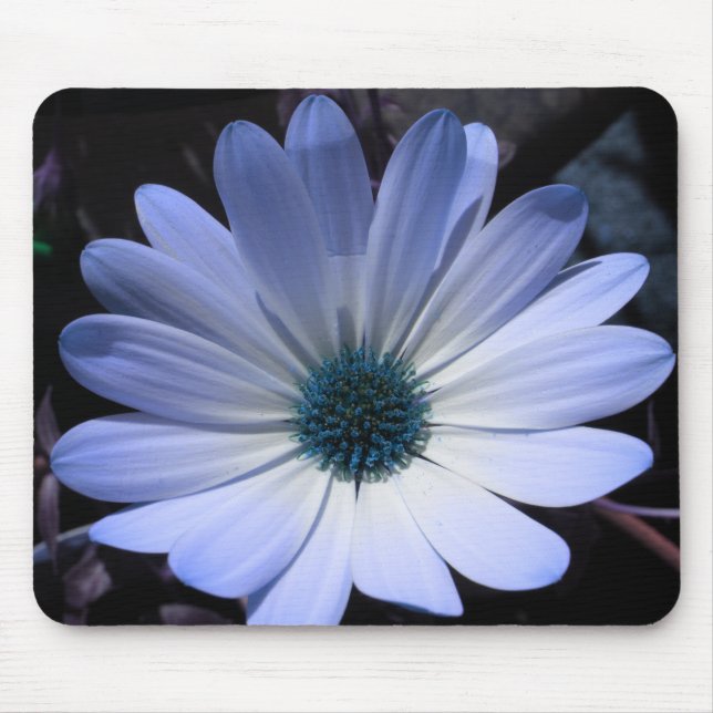 Blue Daisy Blume Mousepad (Vorne)