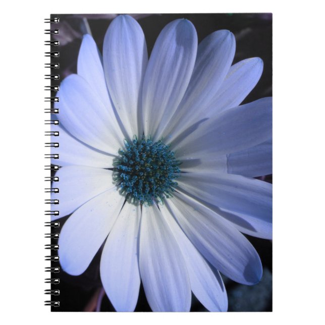 Blue Daisy Blume Notebook Notizblock (Vorderseite)