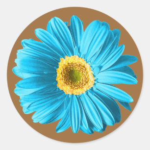 Blue Daisy Blume Runder Aufkleber
