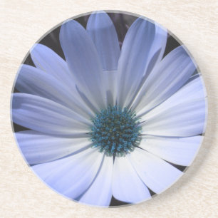Blue Daisy Blume Untersetzer