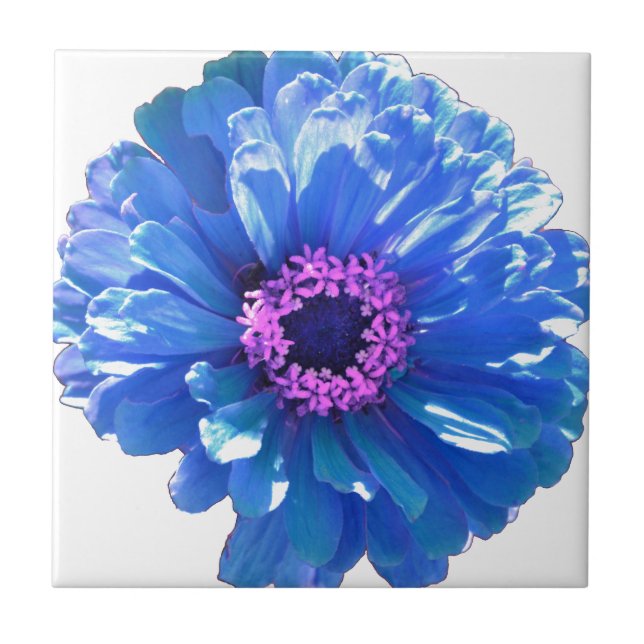 Blue Daisy Fliese (Vorderseite)