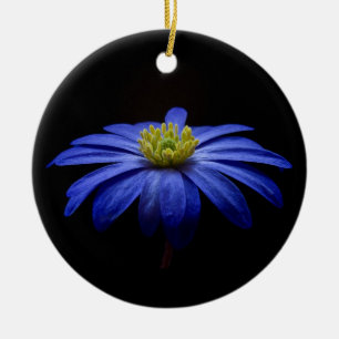 Blue Daisy Gerbera Blume auf schwarzem Hintergrund Keramik Ornament