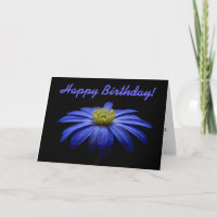 Blue Daisy Gerbera Blume Happy Birthday